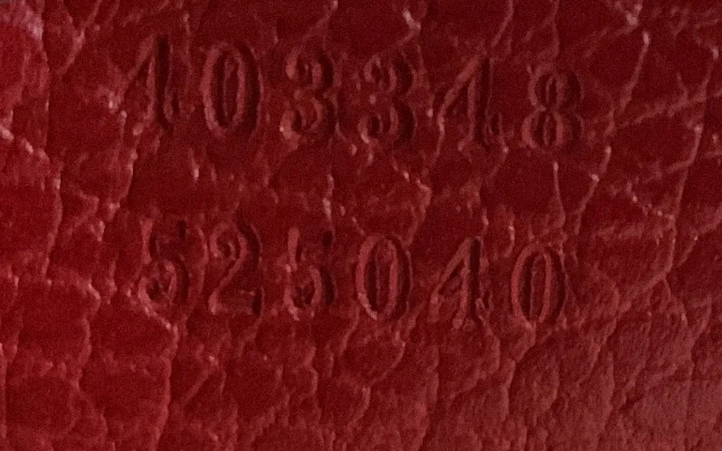 Dionysus Bag Leather Medium