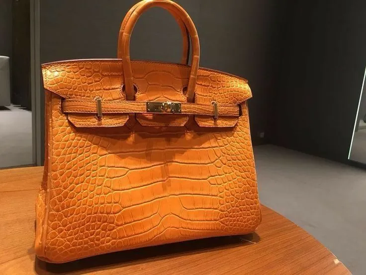 H Birkin Rose Scheherazade Shiny Crocodile Niloticus 25CM