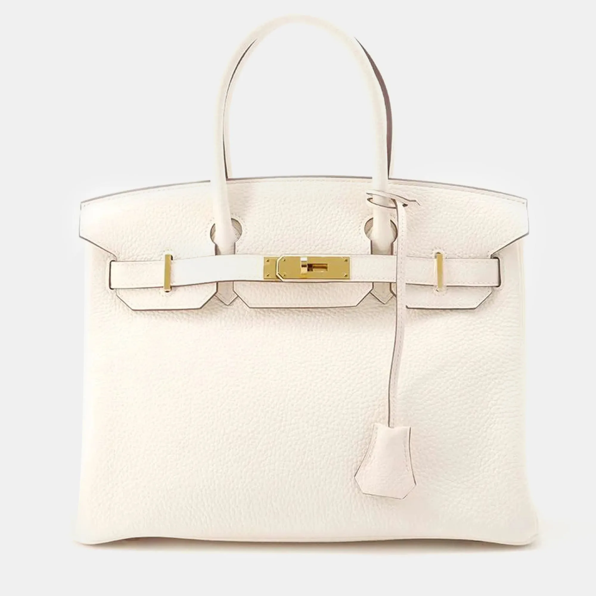 Nata Taurillon Clemence Birkin 30 Tote Bag