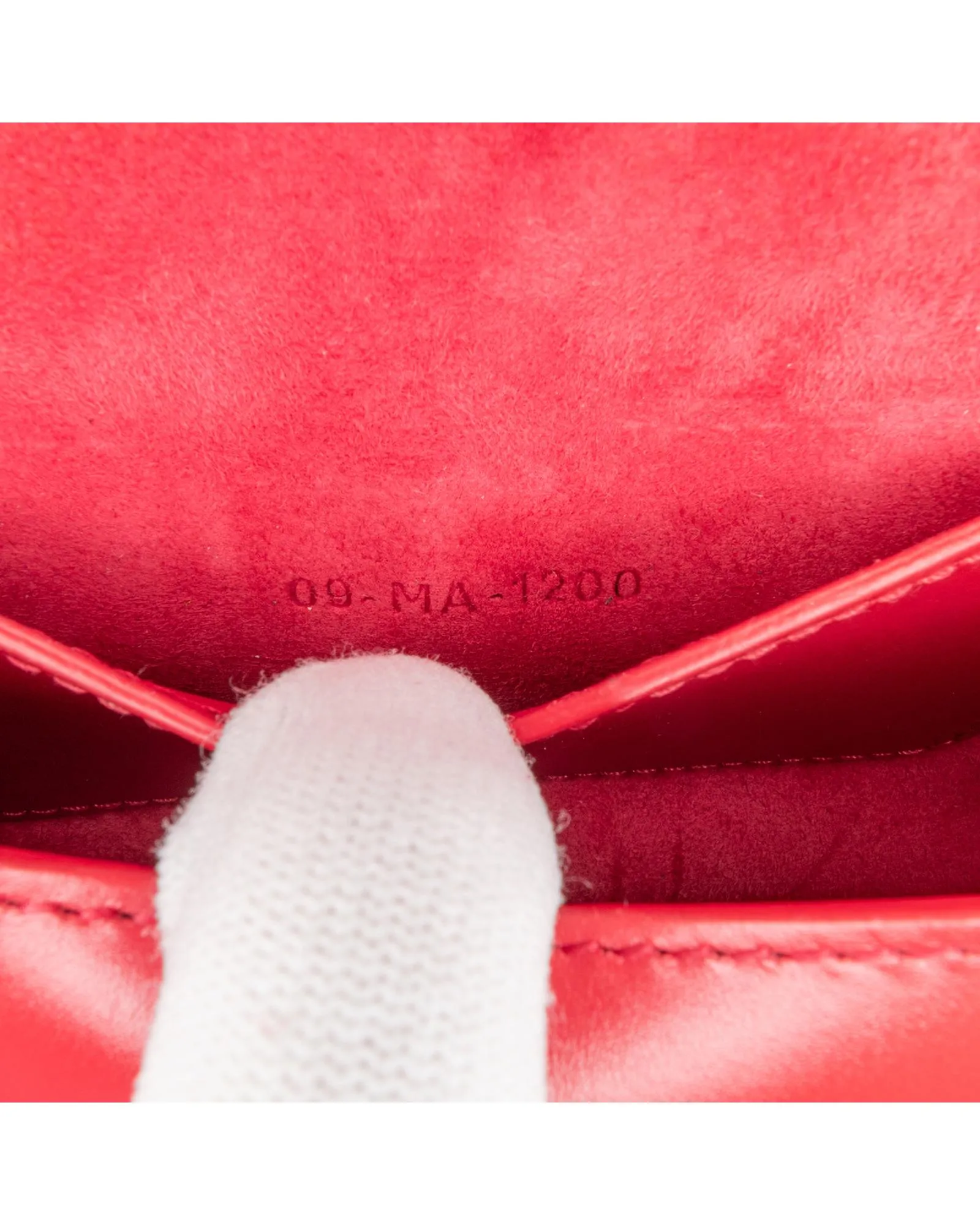 Small Leather Crossbody Bag with Buckle Closure